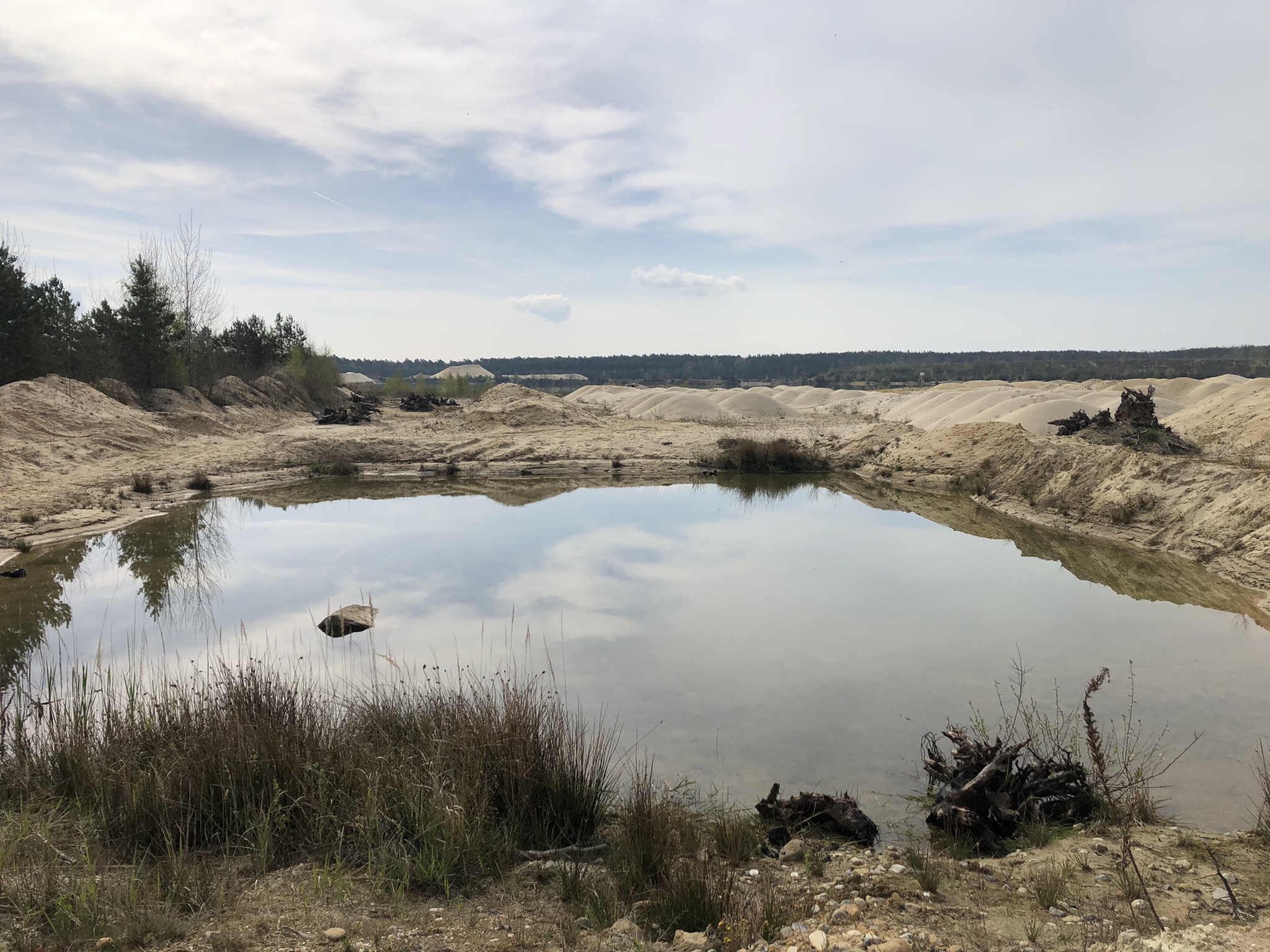 Kleingew�sser Artenschutz